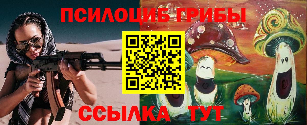 Псилоцибиновые грибы GOLDEN TEACHER Новочебоксарск