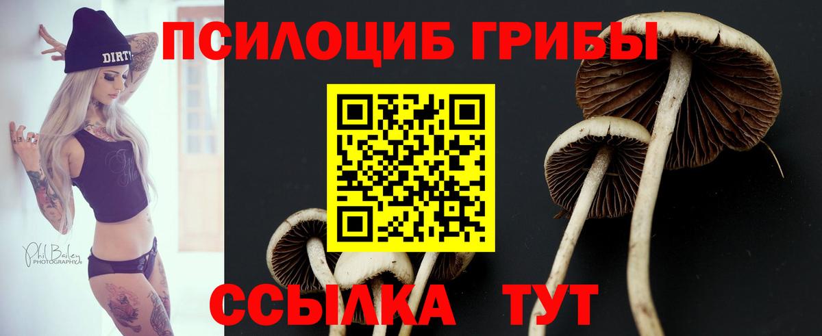 Галлюциногенные грибы ЛСД  Вход с VPN  Новочебоксарск 